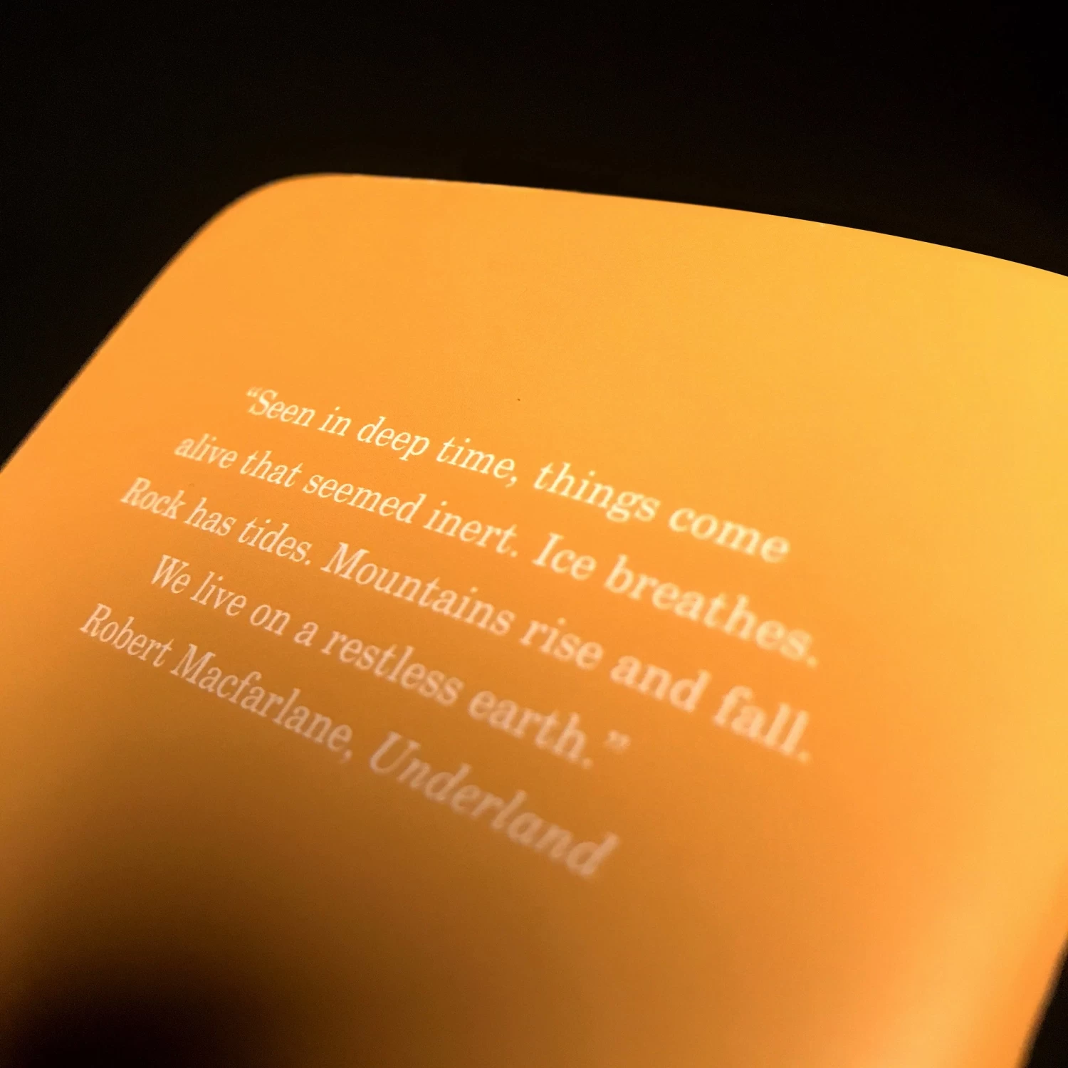 Underland 3-Pack Memo Book 8 Underland 3-Pack Memo Book - Image 8