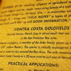 Signs Of Spring 3-Pack Memo Book 14 Signs Of Spring 3-Pack Memo Book -Outdoor Equip Store 36874