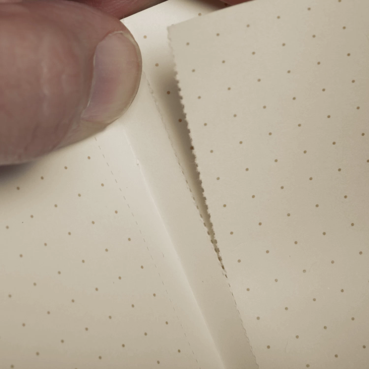 Kraft Plus 2-Pack Memo Book 3 Kraft Plus 2-Pack Memo Book - Image 3