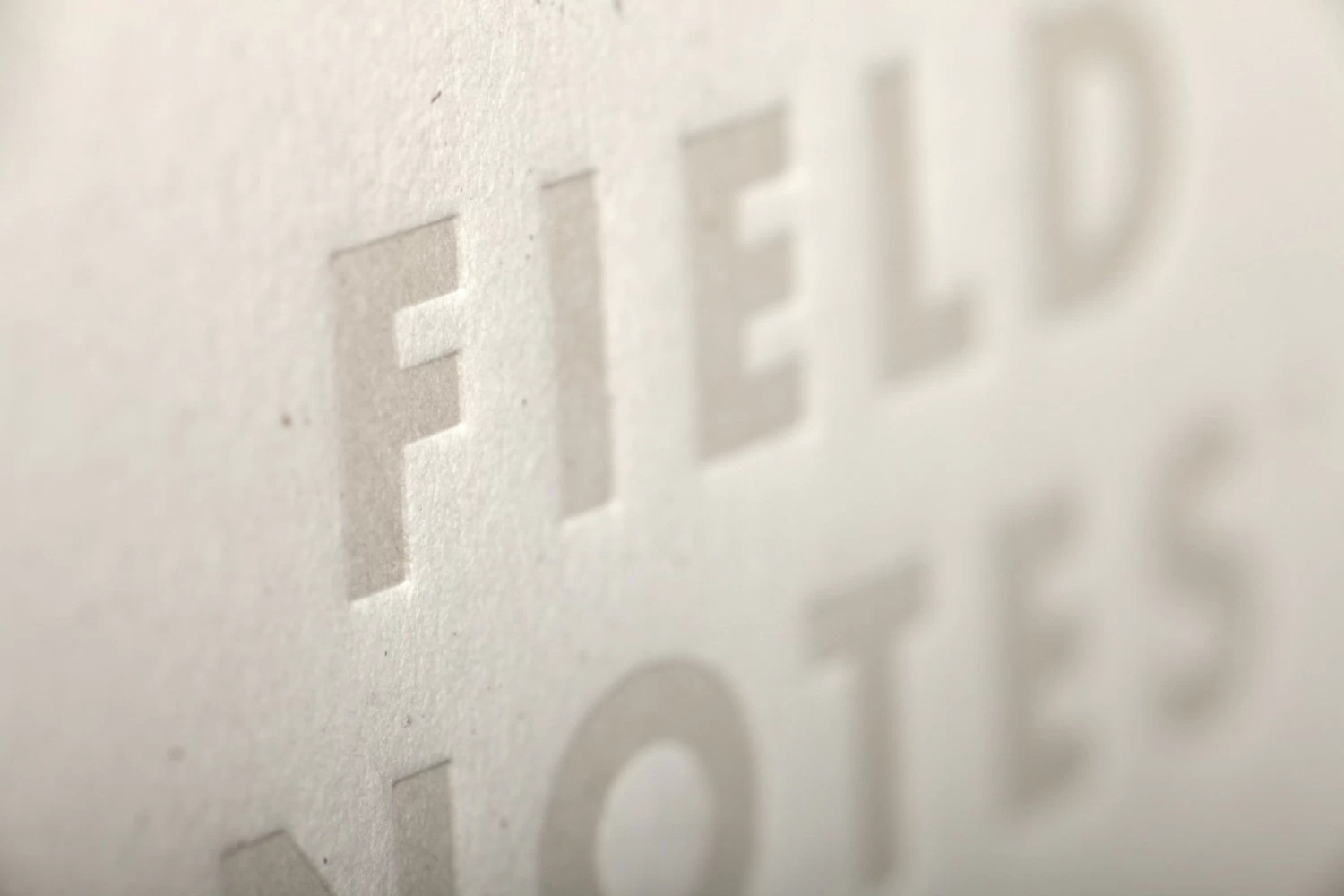 Birch Bark 3-Pack Memo Book 9 Birch Bark 3-Pack Memo Book - Image 9