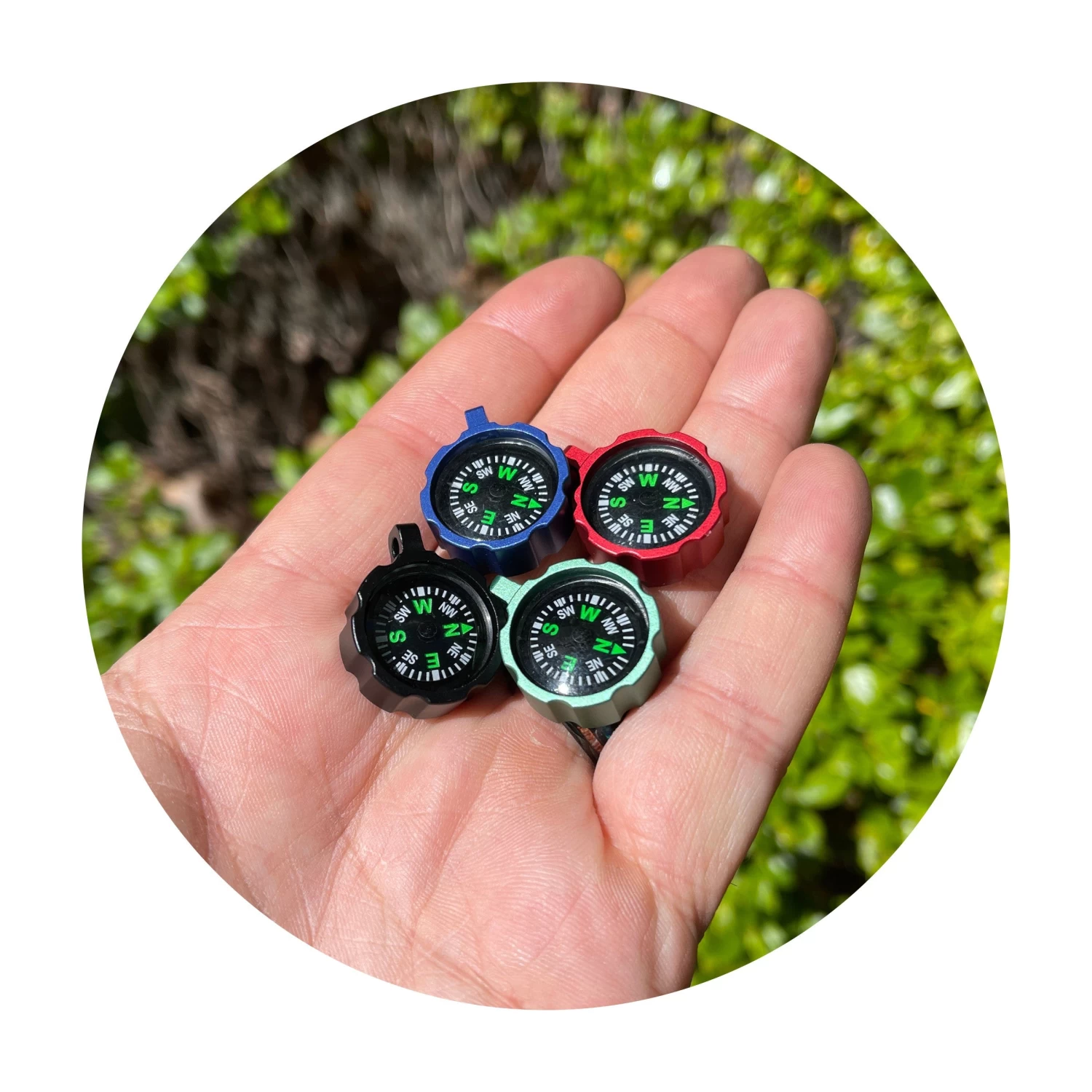 Companion Compass (Gen 2) 1 Companion Compass (Gen 2)