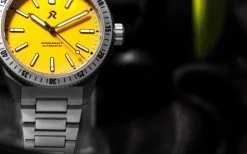 Endeavour Medallion Yellow 12 Endeavour Medallion Yellow -Outdoor Equip Store 51350