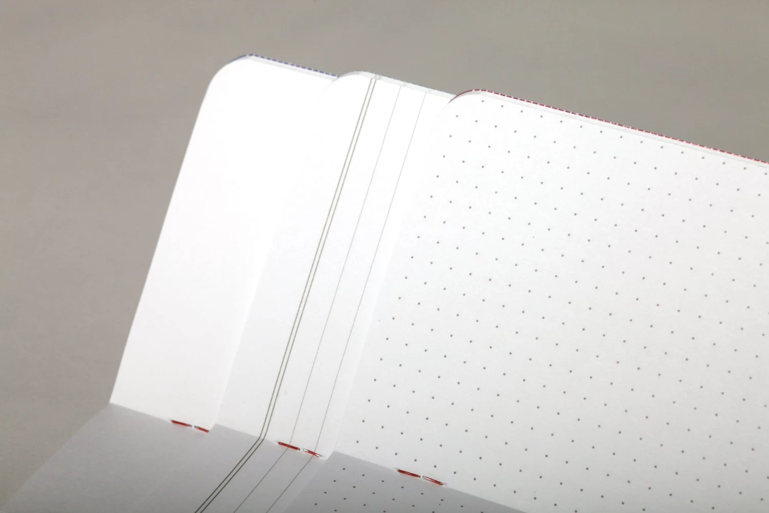 Flora 3-Pack Memo Book 10 Flora 3-Pack Memo Book - Image 10