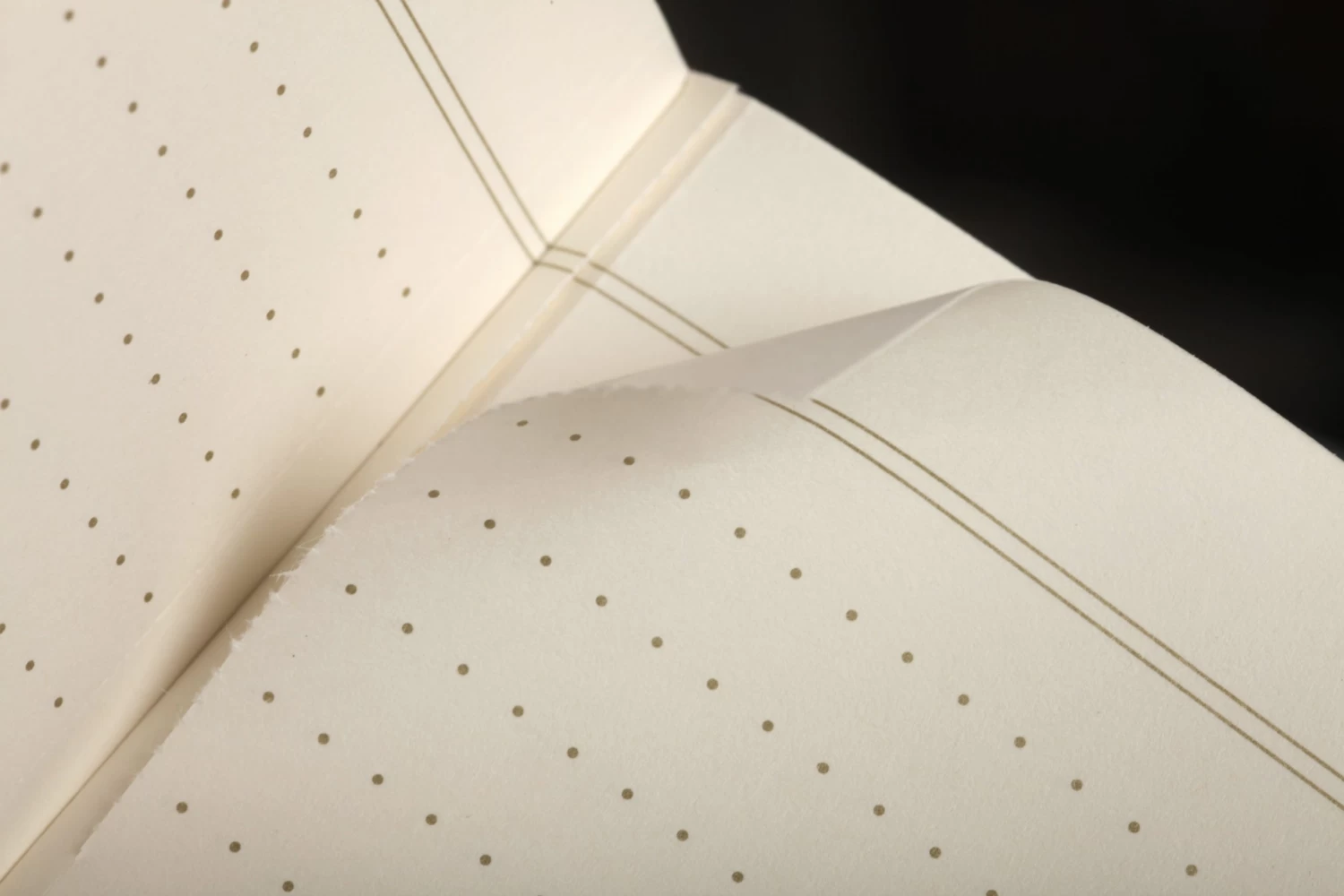 Vintage 3-Pack Memo Book 3 Vintage 3-Pack Memo Book - Image 3