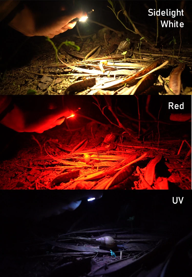 Angel Eyes E80 Flashlight 15 Angel Eyes E80 Flashlight - Image 15